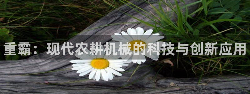 辉达娱乐最新现状：重霸：现代农耕机械的科技与创新应用