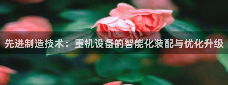 辉达平台官网下载