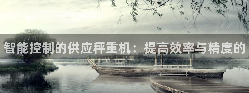 正规辉达娱乐在线游戏：智能控制的供应秤重机：提高效率与精度的