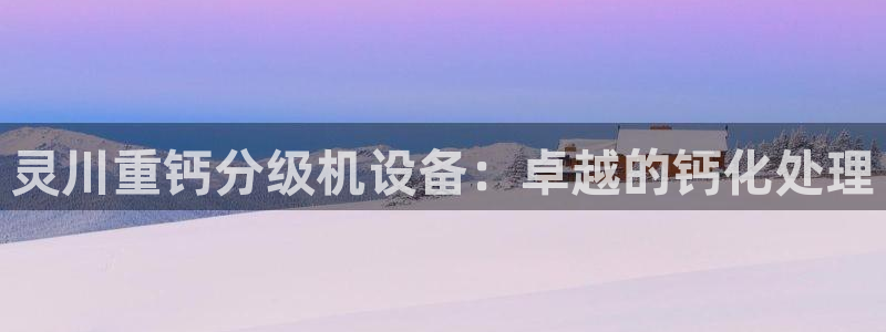 辉达平台官网电话：灵川重钙分级机设备：卓越的钙化处理
