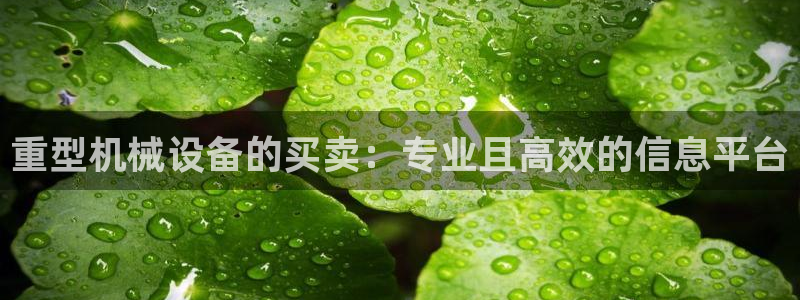 辉达娱乐重庆时时彩：重型机械设备的买卖：专业且高效的信息平台