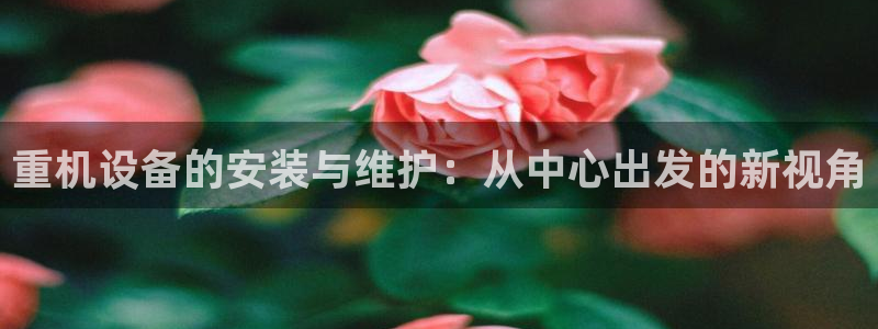 辉达平台官网电话