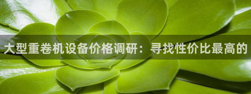 辉达娱乐珈75775：大型重卷机设备价格调研：寻找性价比最高
