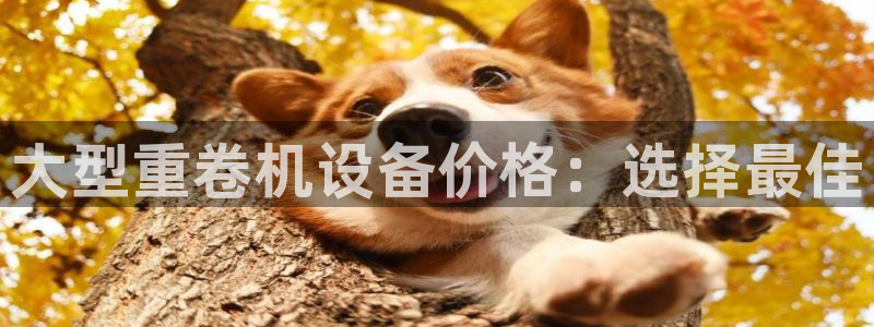 辉达娱乐最新版本更新内容