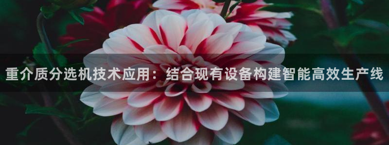 辉达娱乐属于什么档次