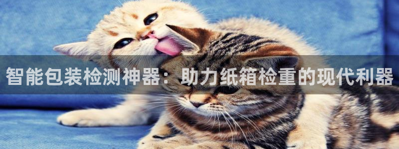 辉达娱乐最新消息新闻：智能包装检测神器：助力纸箱检重的现代利
