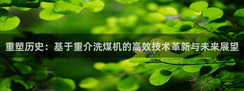 辉达娱乐计划软件